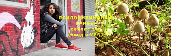 амф Арсеньев