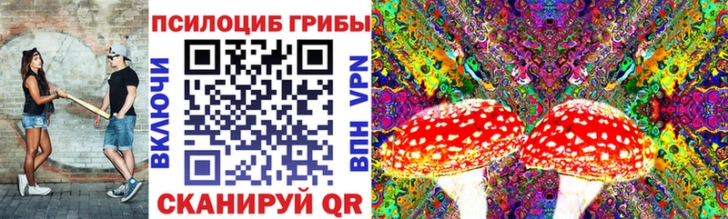 Псилоцибиновые грибы мицелий  как найти закладки  Коломна 