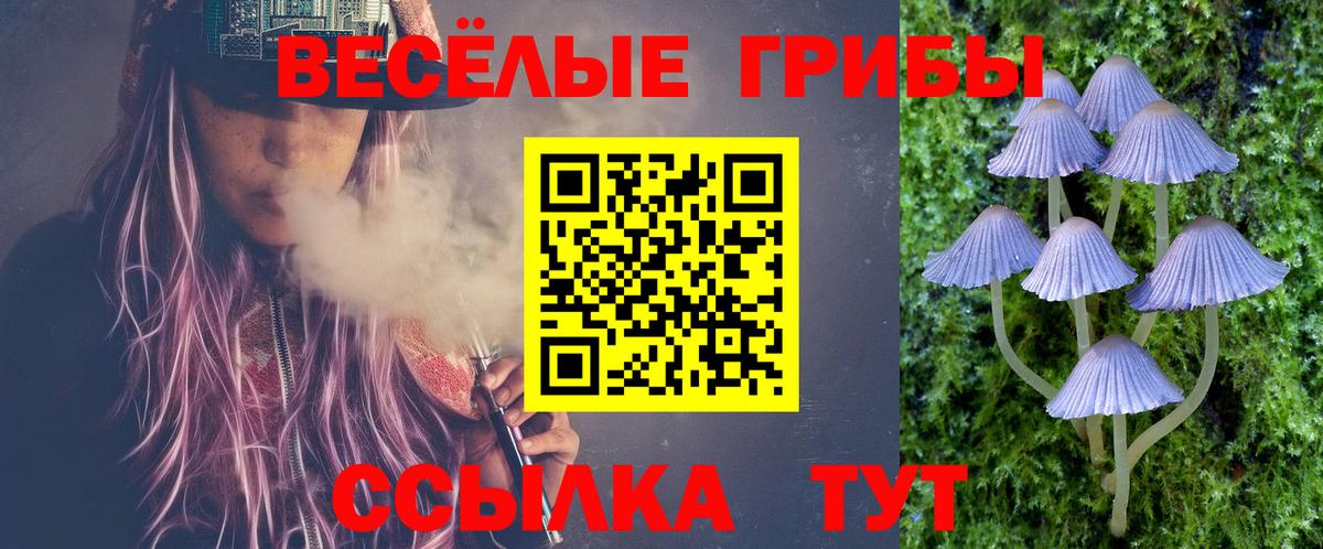 Псилоцибиновые грибы Psilocybine cubensis Коломна